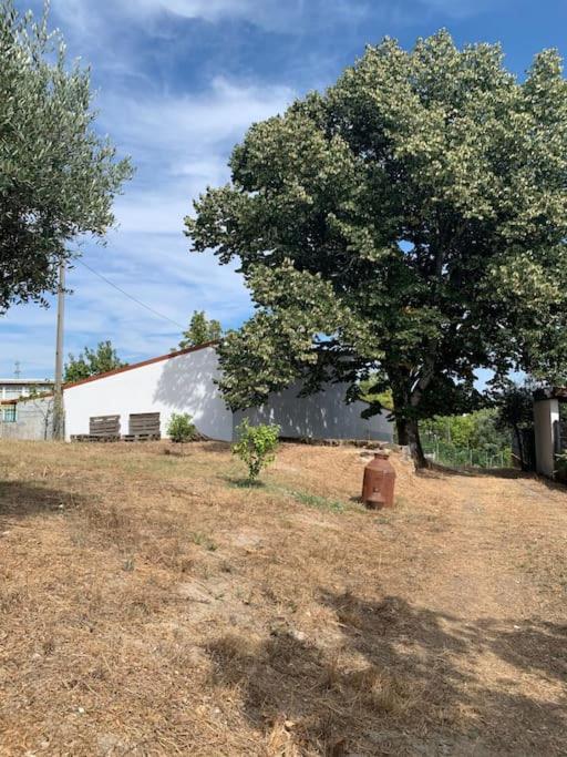 Villa Casa Da Oliveira à Nelas Extérieur photo