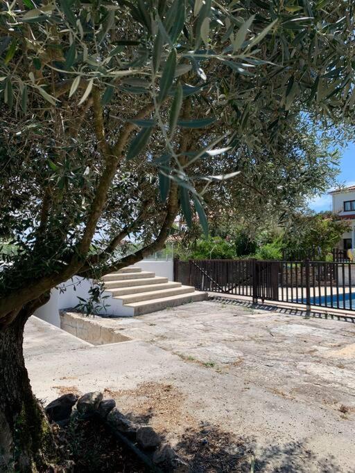 Villa Casa Da Oliveira à Nelas Extérieur photo